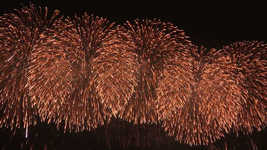 Gif animé feux d'artifices 83